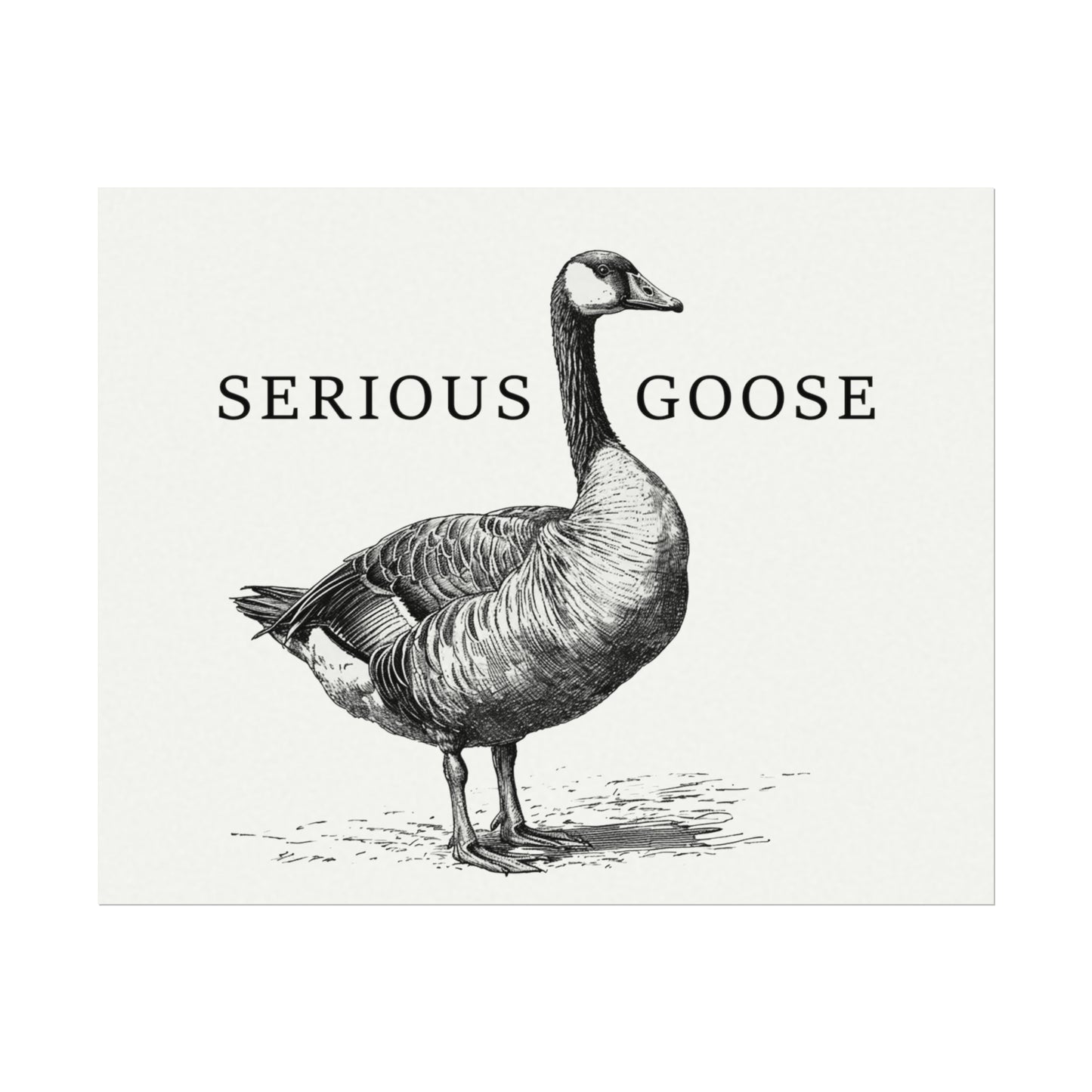 Serious Goose 8" x 10" Black & White Textured Watercolor Matte Posters