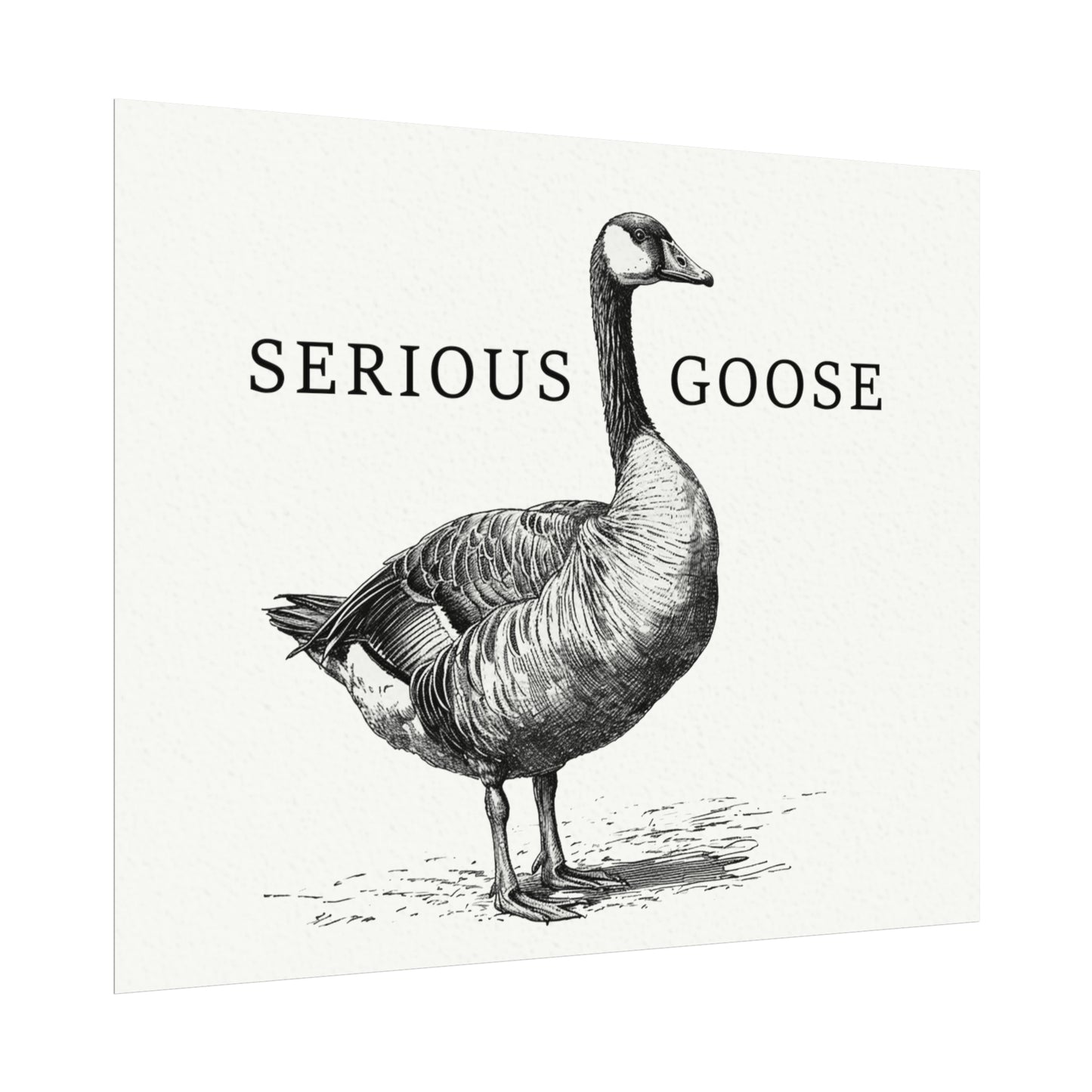 Serious Goose 8" x 10" Black & White Textured Watercolor Matte Posters